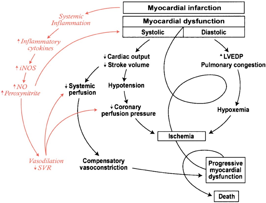 cardiogenic shock