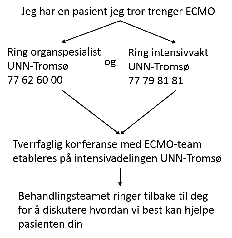 Kommunikasjonsvei ECMO ekstern